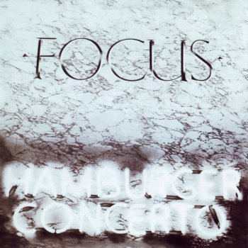Focus Delite Musicae