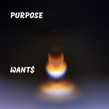 Purpose Want$