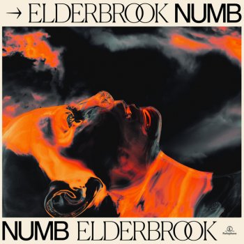 Elderbrook Numb