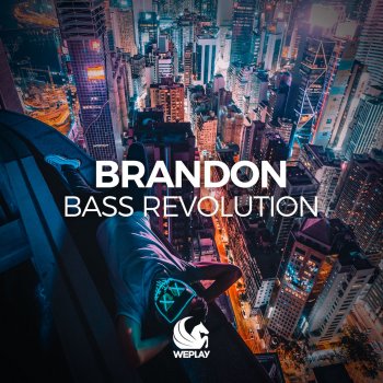Brandon Bass Revolution