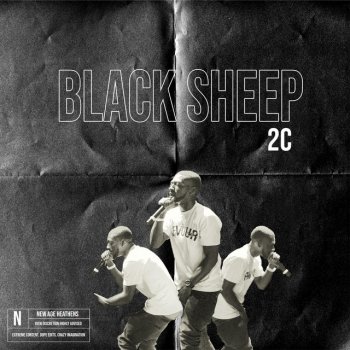 2C Black Sheep