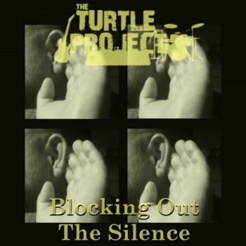 The Turtle Project Silence