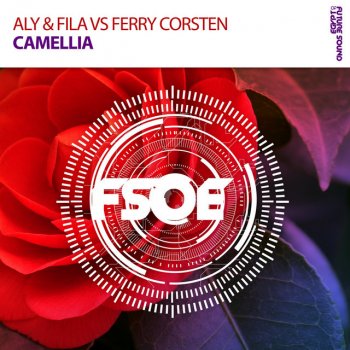 Aly feat. Fila & Ferry Corsten Camellia (Extended Mix)