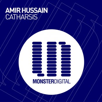 Amir Hussain Catharsis