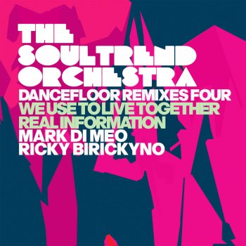 The Soultrend Orchestra feat. Adika Pongo We Use to Live Together (Mark Di Meo Remix Instrumental)