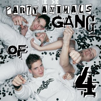 Party Animals Total Confusion - Mash Up 2004