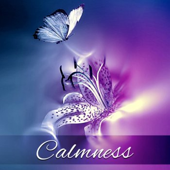 Calming Music Sanctuary Relaxation Meditation