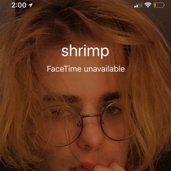 Shrimp Talk2Me