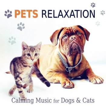 Pet Music Academy Therapy Music for Pets