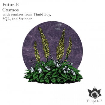 Future feat. Timid Boy Cosmos - Timid Boy Remix