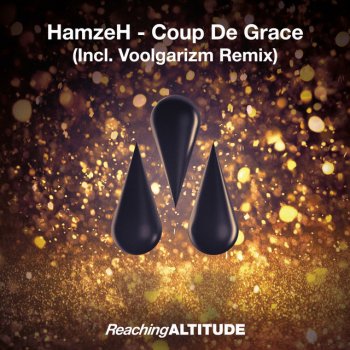 HamzeH feat. Voolgarizm Coup De Grace - Voolgarizm Radio Edit