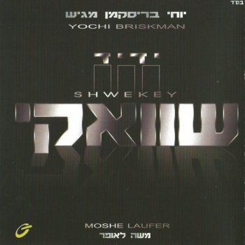 Yaakov Shwekey Yedid