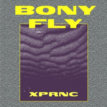 Bony Fly Summer Sign