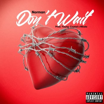 Norman Don't Wait