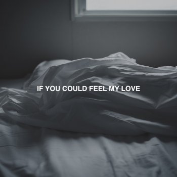 Veaux If You Could Feel My Love