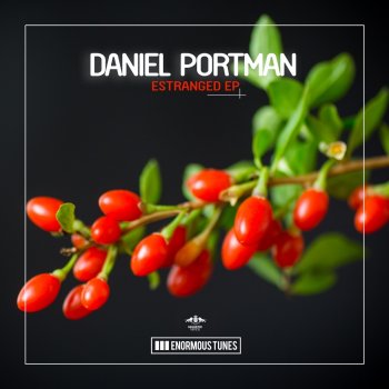 Daniel Portman More Intensity (Club Mix)