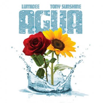 Lumidee feat. Tony Sunshine Agua