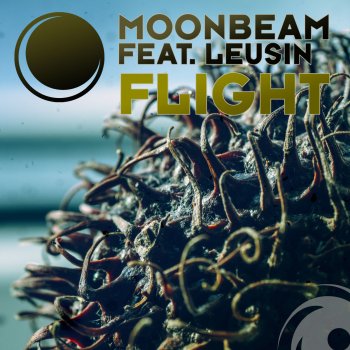 Moonbeam, Leusin & Kairo Kingdom Flight (Kairo Kingdom Remix)