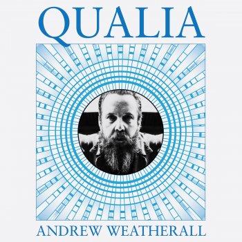 Andrew Weatherall Evidence the Enemy