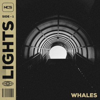 Whales Lights