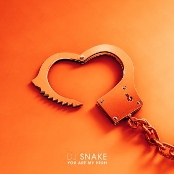 Dj Snake You Are My High