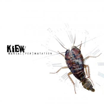 Kiew Mister 29 (Distorted Drumkids Remix)