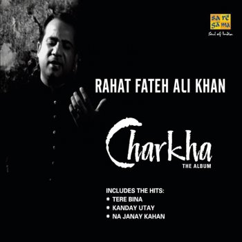 Rahat Fateh Ali Khan Tere Bina (Remix)
