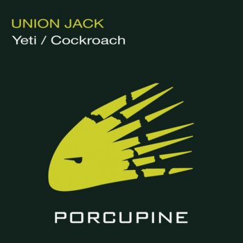 Union Jack Cockroach