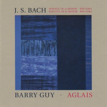 Maya Homburger Partita No. 2 in D Minor, BWV 1004: IV. Giga