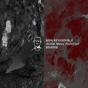 Non Reversible Ellipsoid (Philippe Petit Remix)