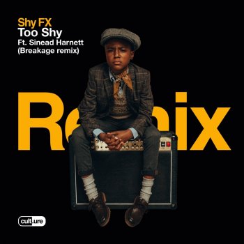 Shy FX Too Shy (feat. Sinead Harnett) [Breakage Remix]