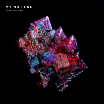My Nu Leng Fabriclive 86 (Continuous DJ Mix)