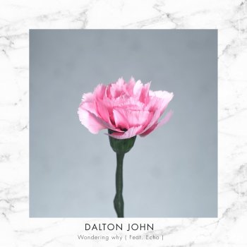 Dalton John feat. Echo Wondering Why