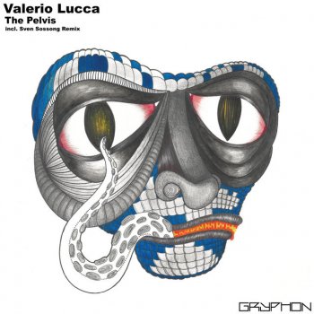 Valerio Lucca The Pelvis