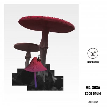 Mr. Sosa Coco Drum