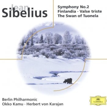 Jean Sibelius; Berliner Philharmoniker, Okko Kamu Symphony No.2 in D, Op.43: 2. Tempo andante, ma rubato - Andante sostenuto