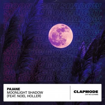 Pajane feat. Noel Holler Moonlight Shadow (feat. Noel Holler)