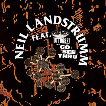 Neil Landstrumm DX Madness