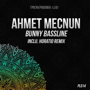 Ahmet Mecnun Grunge Bassline (Horatio Remix)