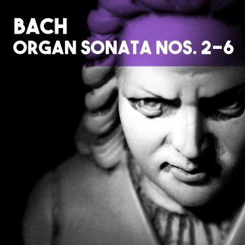 Ivan Sokol Organ Sonata No. 4 in E Minor, BWV 528: II. Andante