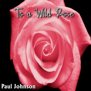 Paul Robert Johnson feat. Paul Johnson To a Wild Rose