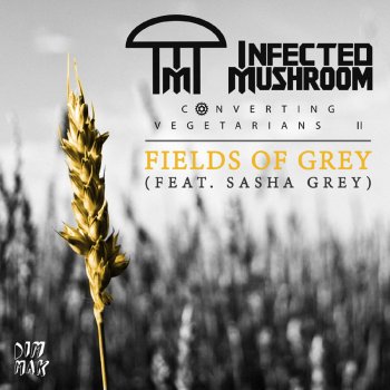 Infected Mushroom feat. Sasha Grey Fields of Grey (feat. Sasha Grey)