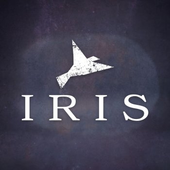 Flight Paths Iris