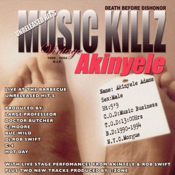 Akinyele Break a Bitch Neck (Large Pro mix) (feat. Kool G Rap)