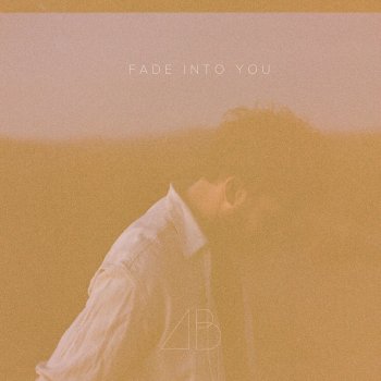 Andrew Belle Fade into You