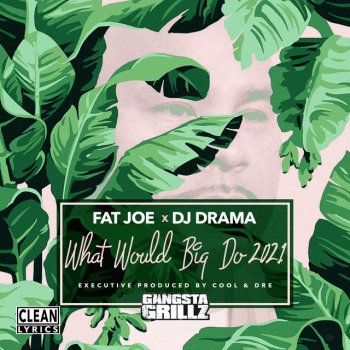 Fat Joe feat. DJ Drama, Cool & Dre & Angelica Vila Honey (feat. Angelica Vila)