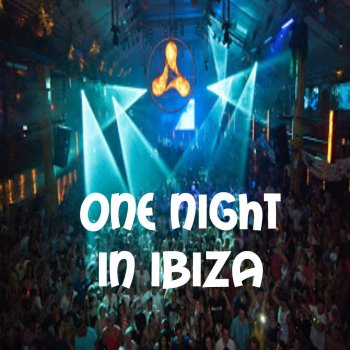 Various Artists One Night In Ibiza (Dj Continuous Mix)