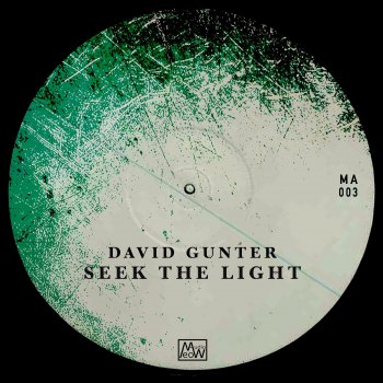David Gunter Night Wolf