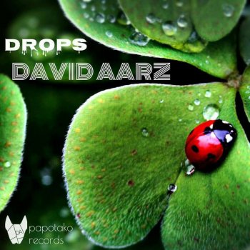 David Aarz Drops - Original Mix