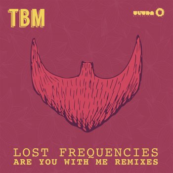 Lost Frequencies Are You With Me